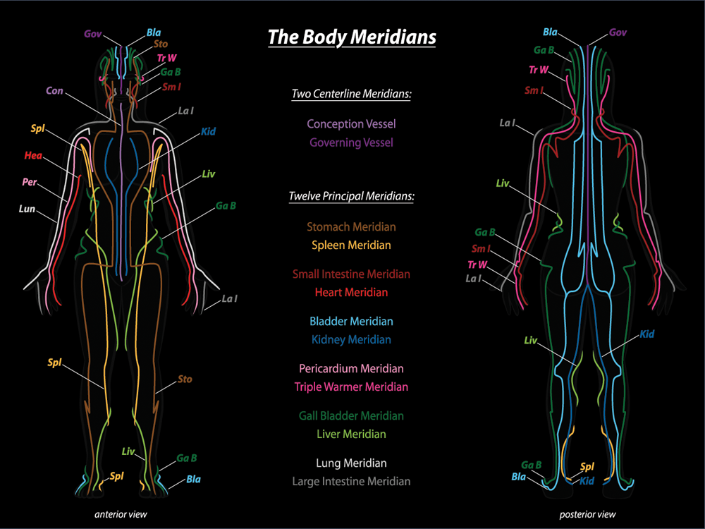 Acupuncture meridians